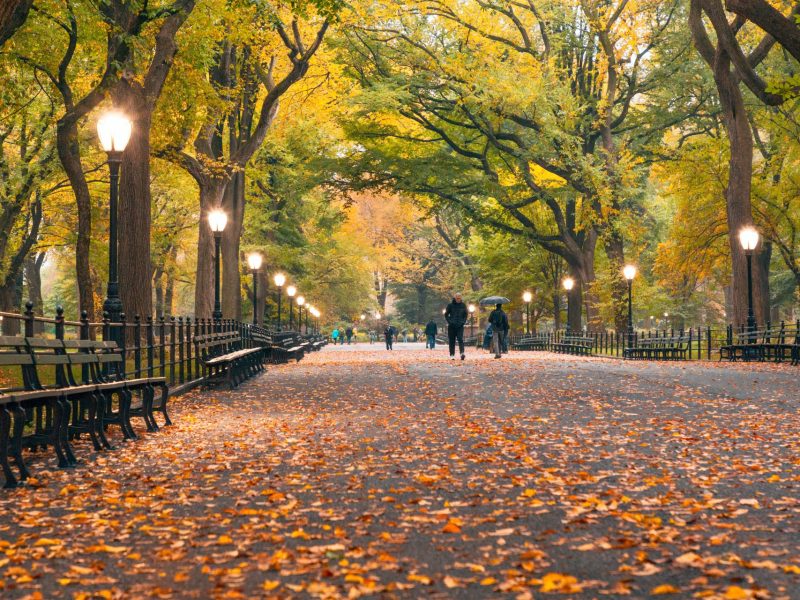EEUU - Central Park-1920x1280