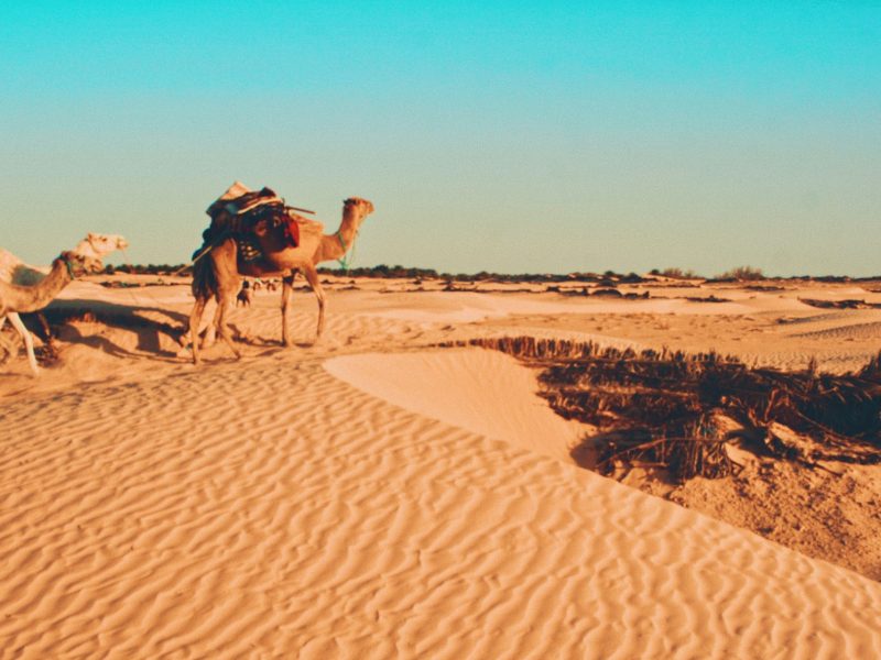 Tunez - Desierto Sahara Tunez-1920x1280