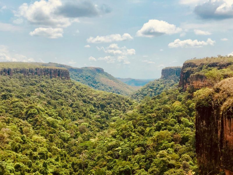Brasil - Parque Nacional de Chapada dos Guimarães Brasil-1920x1280