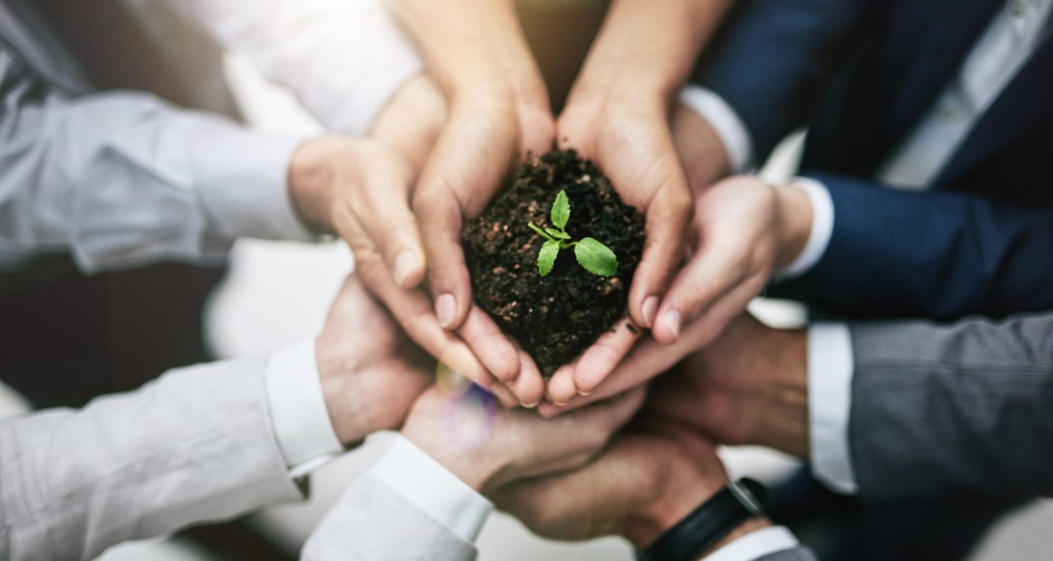 Cropped shot of a team of colleagues holding a plant growing out of soil